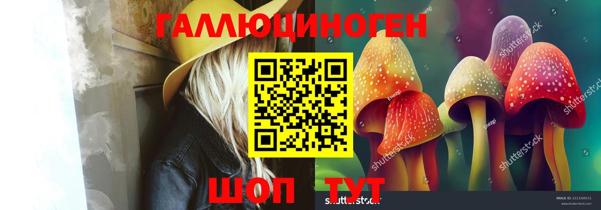 как найти закладки  Псилоцибиновые грибы Psilocybe  Вход с VPN  Усолье-Сибирское 